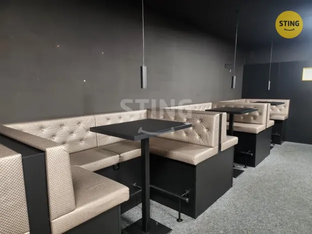 Pronájem komerční nemovitosti, Přerov, Wilsonova, 210 m2