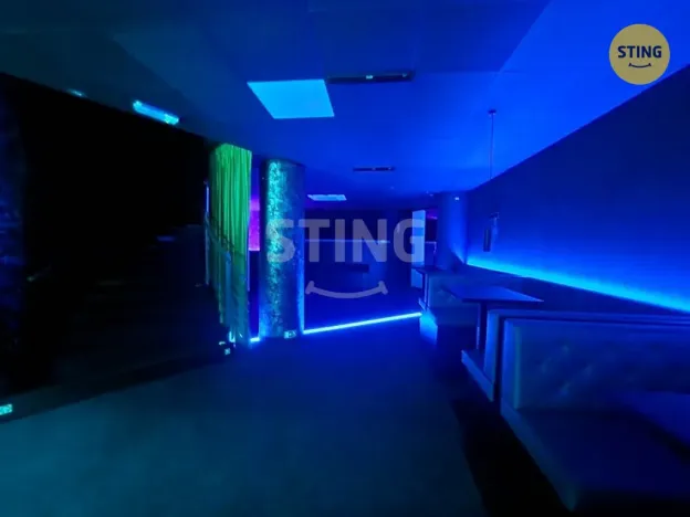 Pronájem komerční nemovitosti, Přerov, Wilsonova, 210 m2