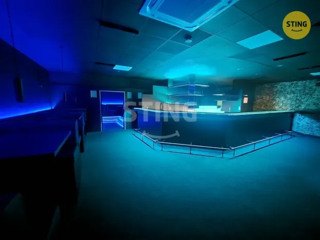 Pronájem komerční nemovitosti, Přerov, Wilsonova, 210 m2