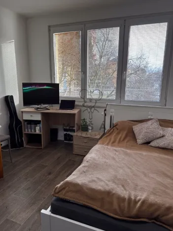 Pronájem bytu 1+kk, České Budějovice - České Budějovice 3, Plzeňská, 21 m2