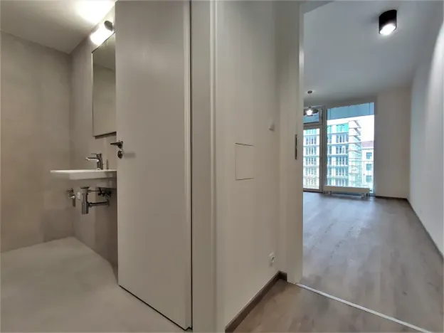 Pronájem bytu 1+kk, Brno, Placzkova, 27 m2