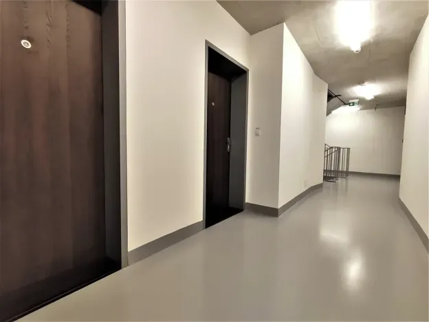 Pronájem bytu 1+kk, Brno, Placzkova, 27 m2