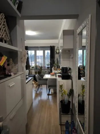 Prodej bytu 2+kk, Karlovy Vary - Rybáře, Čankovská, 46 m2