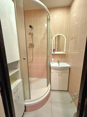 Pronájem bytu 2+1, Bílina, M. Švabinského, 56 m2