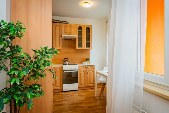 Prodej bytu 2+kk, Klecany, V Honech, 46 m2