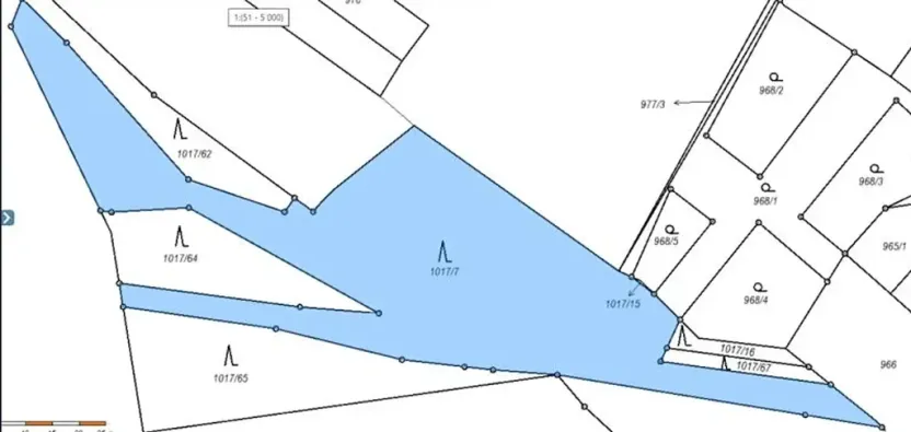 Prodej lesa, Ústí nad Labem, 3506 m2
