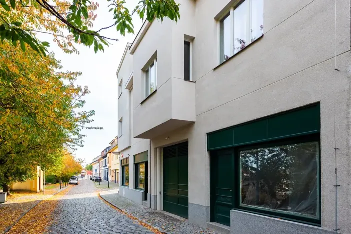 Prodej bytu 5+kk, Praha - Střešovice, Pod bateriemi, 173 m2