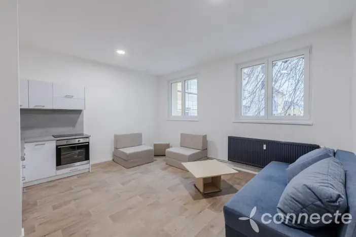 Pronájem bytu 1+kk, Přerov - Přerov I-Město, Husova, 30 m2