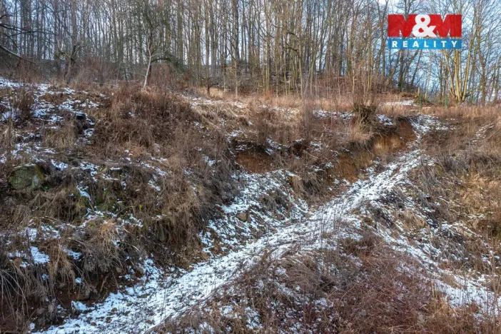 Prodej pozemku pro bydlení, Benešov nad Ploučnicí, 4585 m2