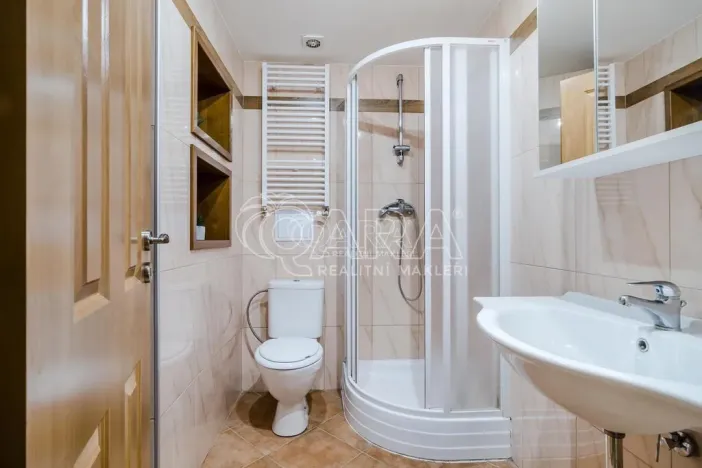 Pronájem bytu 2+kk, Praha - Vinohrady, Francouzská, 45 m2