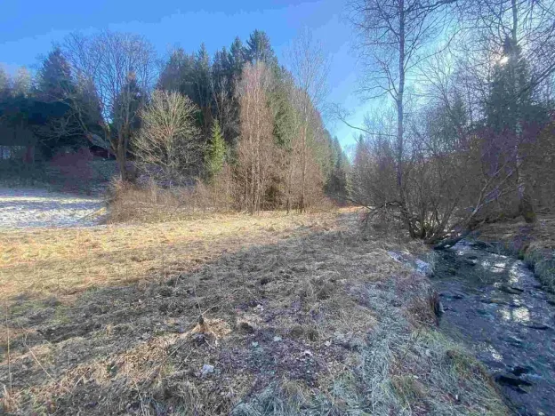 Prodej pozemku, Čachrov - Javorná, 10377 m2