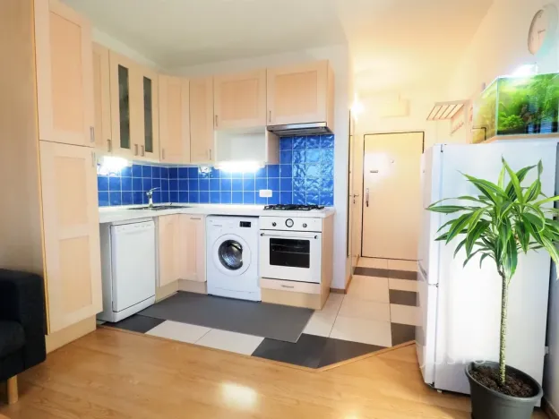 Pronájem bytu 1+1, Písek, nábřeží 1. máje, 36 m2