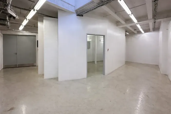 Pronájem skladu, Praha - Nusle, Mojmírova, 165 m2