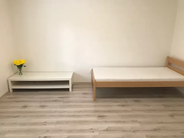 Pronájem bytu 1+1, Frýdek-Místek, Lískovecká, 29 m2