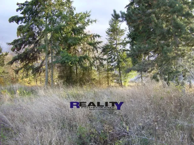 Prodej rodinného domu, Žatec - Milčeves, 205 m2