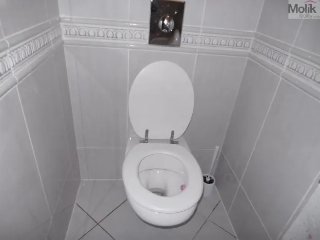 Pronájem rodinného domu, Mariánské Radčice, Dukelských hrdinů, 166 m2