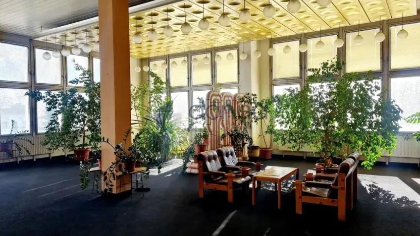 Pronájem obchodního prostoru, Praha, Za Mototechnou, 233 m2