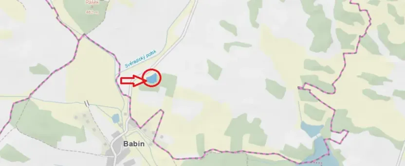 Prodej podílu lesa, Svéradice, 2590 m2