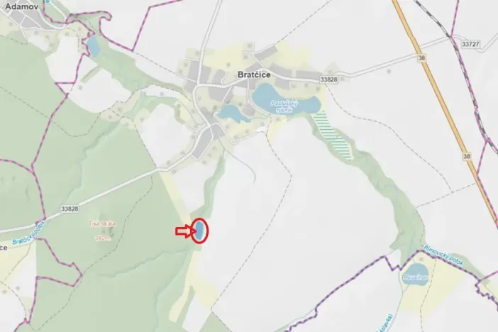 Prodej lesa, Bratčice, 5000 m2