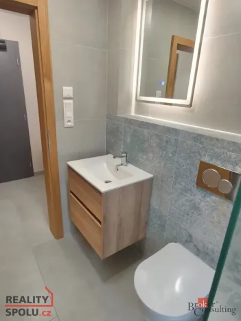 Pronájem bytu 1+kk, Plzeň - Skvrňany, Domažlická, 25 m2