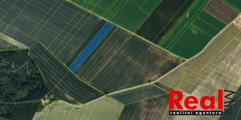 Prodej pole, Blížkovice, 23551 m2