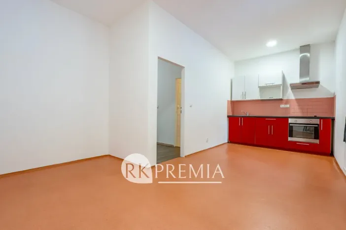 Pronájem bytu 3+1, Teplice, U Hadích lázní, 115 m2