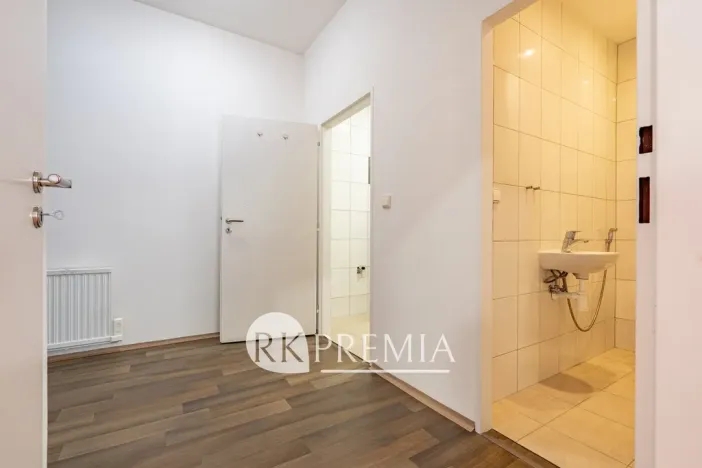 Pronájem bytu 3+1, Teplice, U Hadích lázní, 115 m2