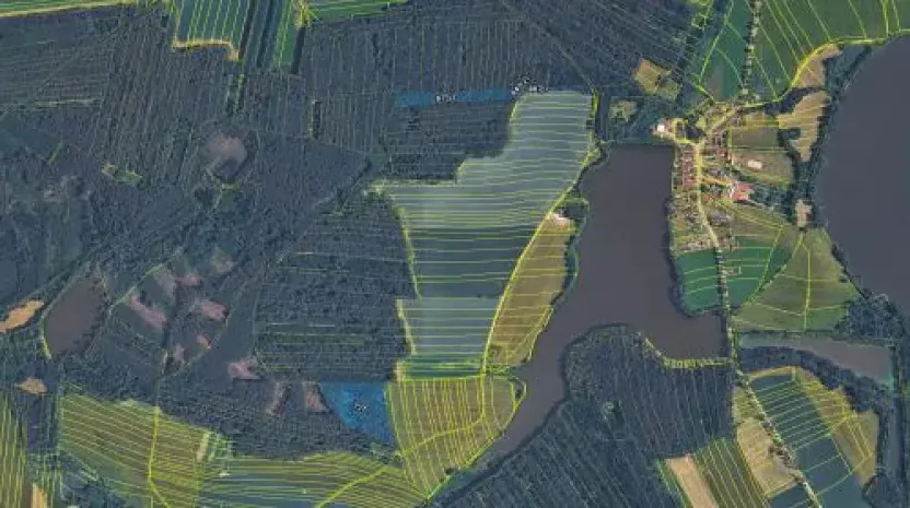 Prodej podílu lesa, Olešnice, 303 m2