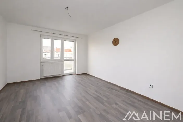 Pronájem bytu 1+1, Plzeň, Lazaretní, 50 m2