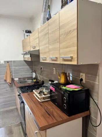 Pronájem bytu 1+kk, Praha - Troja, Trojská, 40 m2