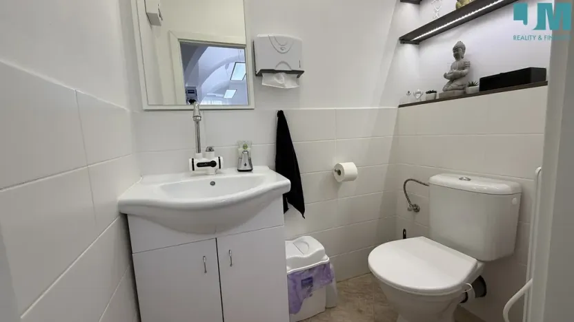 Pronájem komerční nemovitosti, Třebíč, Hasskova, 13 m2