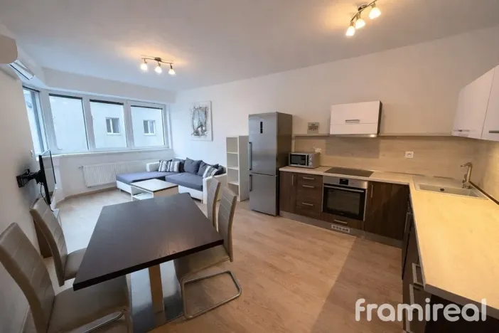 Pronájem bytu 2+kk, Brno, Křídlovická, 57 m2