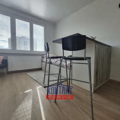 Pronájem bytu 1+kk, České Budějovice, Puklicova, 21 m2