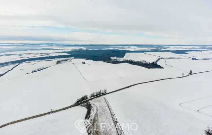 Prodej podílu 1/2 pole, Černín, 54498 m2