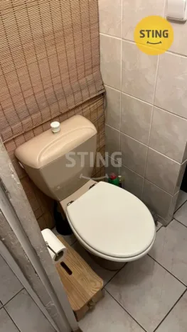 Pronájem bytu 1+1, Brno, Palackého třída, 40 m2