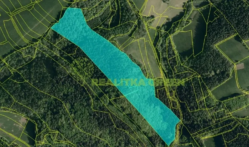 Prodej lesa, Všemina, 68618 m2