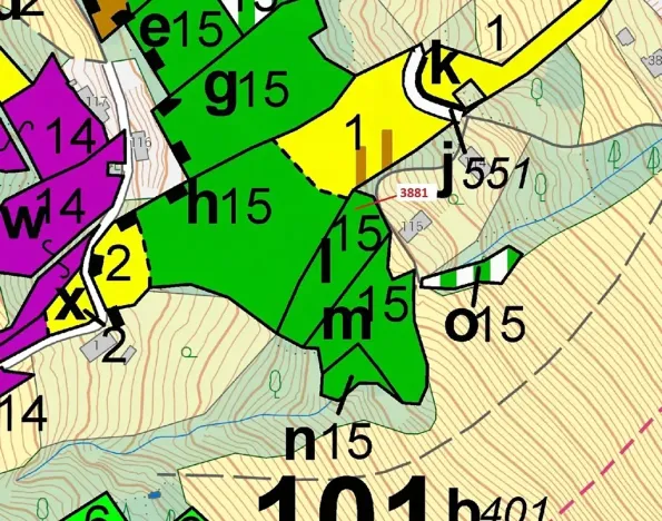 Dražba lesa, Semily, 1939 m2