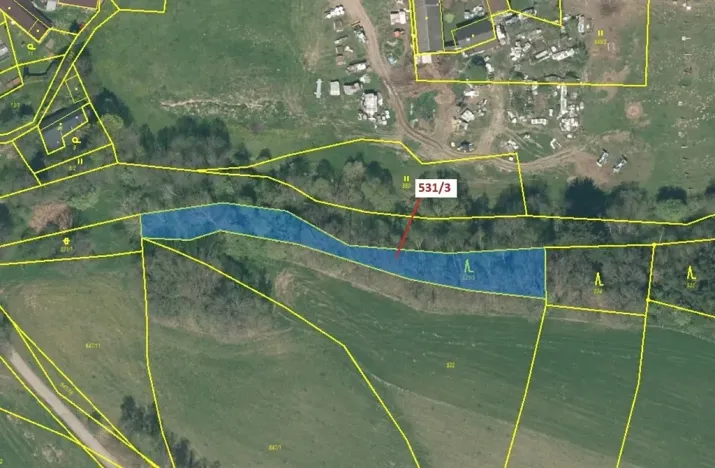 Dražba lesa, Mlýny, 1397 m2