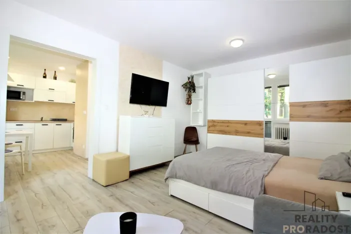 Prodej bytu 1+1, Znojmo, Gagarinova, 33 m2