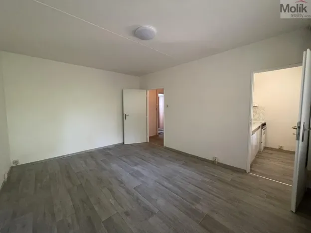 Pronájem bytu 1+kk, Bílina - Pražské Předměstí, Alšova, 27 m2