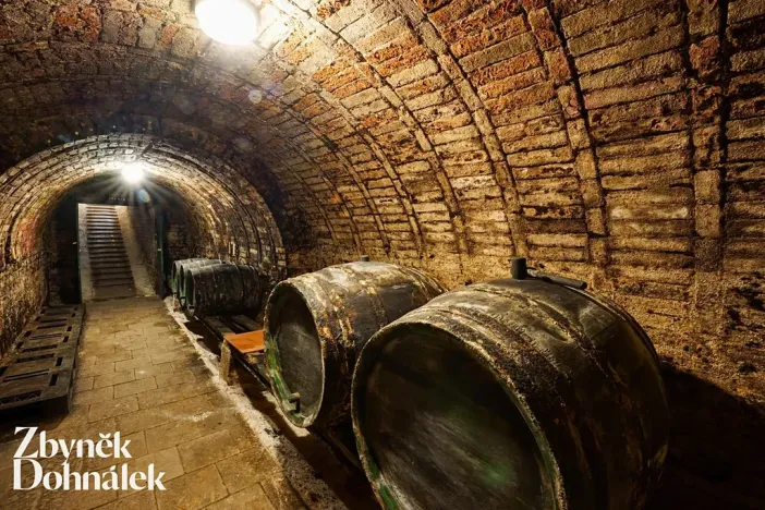 Prodej vinného sklepa, Hovorany, 69 m2