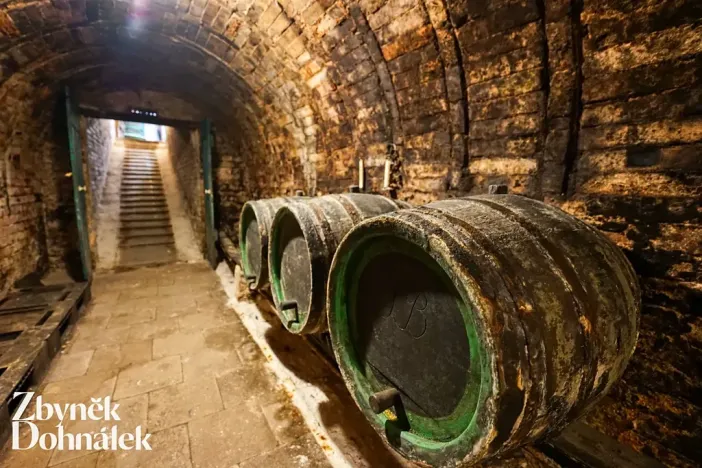 Prodej vinného sklepa, Hovorany, 69 m2