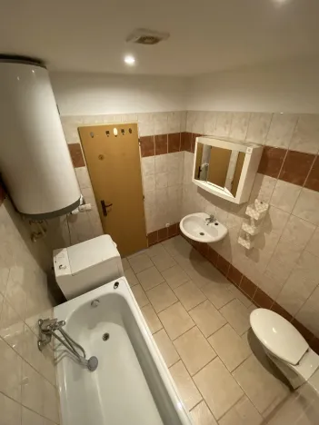 Pronájem bytu 1+1, Teplice - Nová Ves, Březová, 27 m2