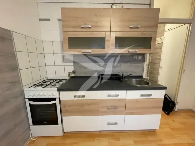 Pronájem bytu 1+1, Teplá, Palackého, 43 m2