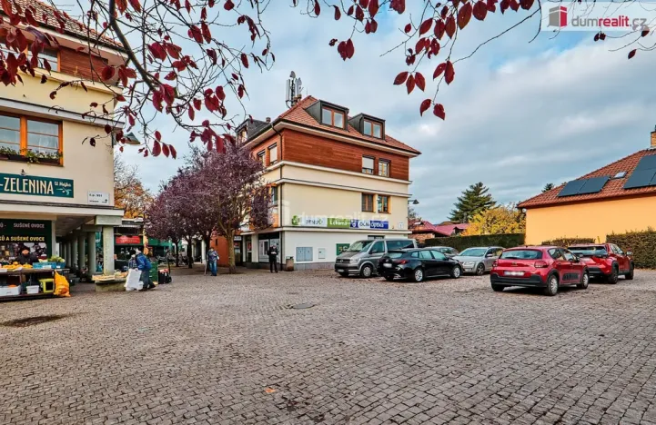 Pronájem bytu 1+kk, Dobřichovice, Palackého, 20 m2