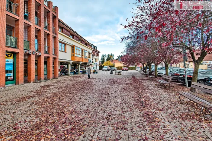 Pronájem bytu 1+kk, Dobřichovice, Palackého, 20 m2