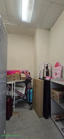 Pronájem skladu, Brno, Josefská, 4 m2