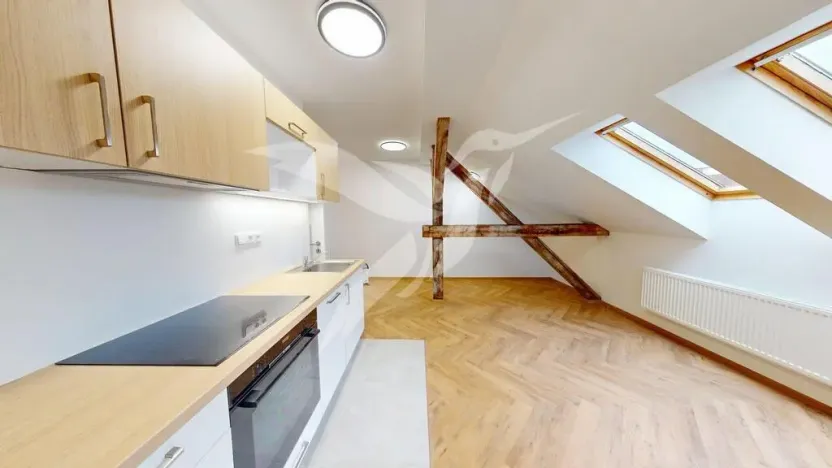 Pronájem bytu 2+kk, Plzeň, Nerudova, 60 m2