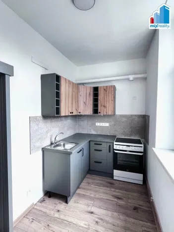 Pronájem bytu 1+kk, Plzeň - Jižní Předměstí, náměstí T. G. Masaryka, 30 m2