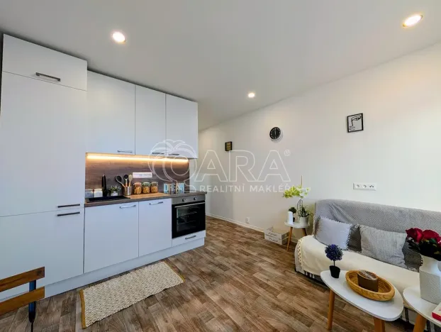 Prodej bytu 1+kk, Plzeň - Doudlevce, Šimerova, 19 m2